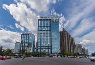 浙江社交平台批量转账怎么使用