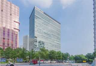 岳阳SEO排名T云品牌